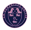 UM-Damansara United FC